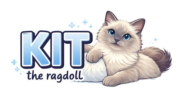 Kit The Ragdoll